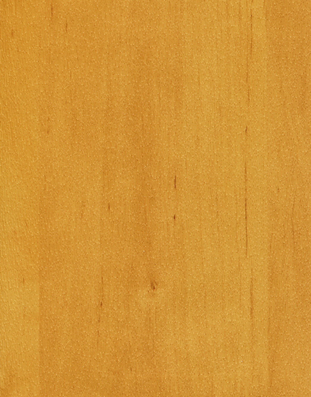 ALDER 1