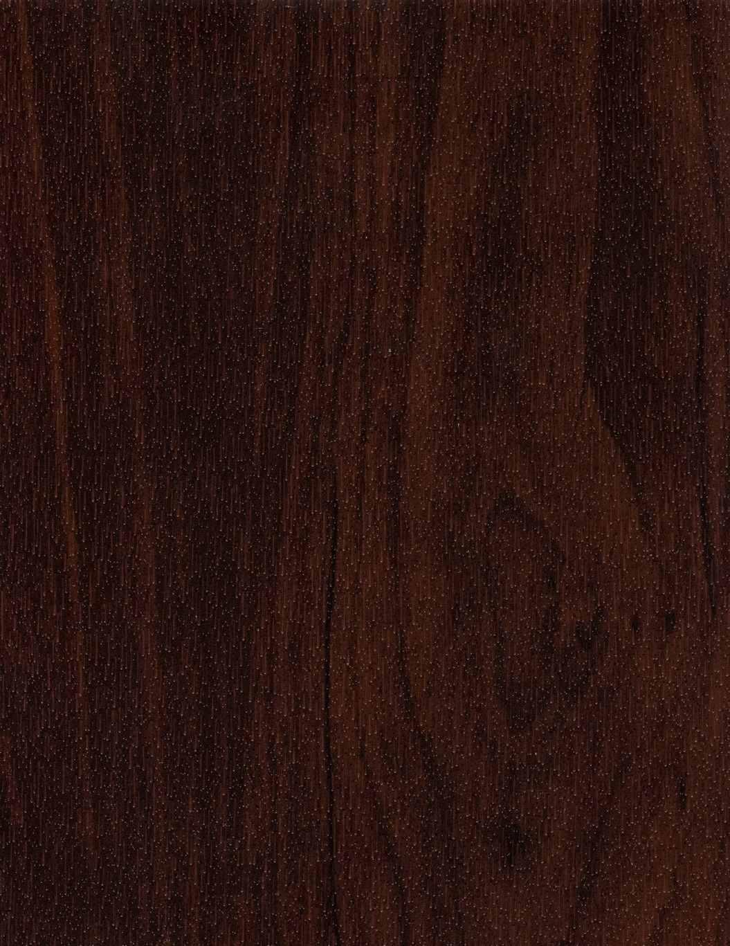 ALMON 37 (eco)