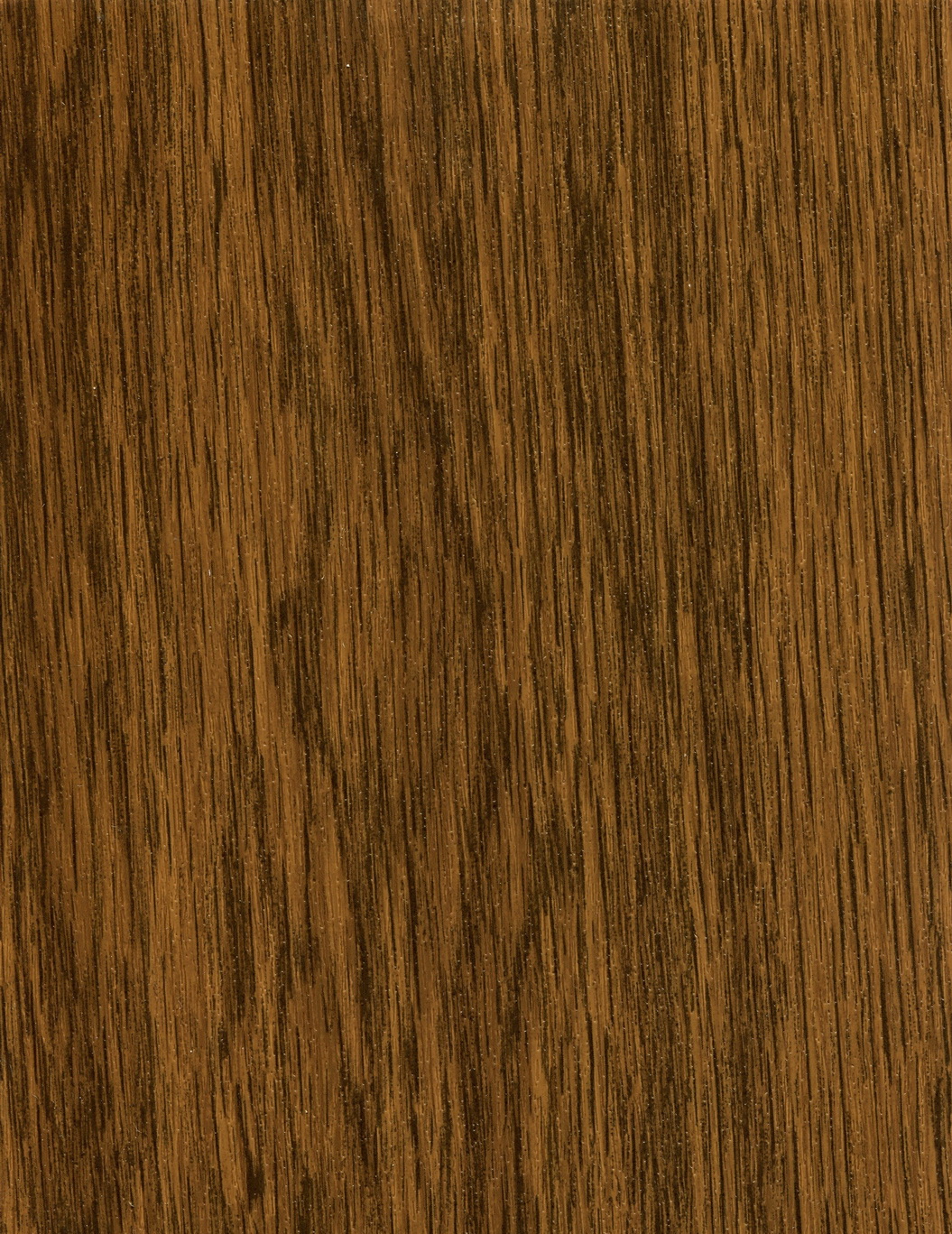 BIRCH TREE (eco)