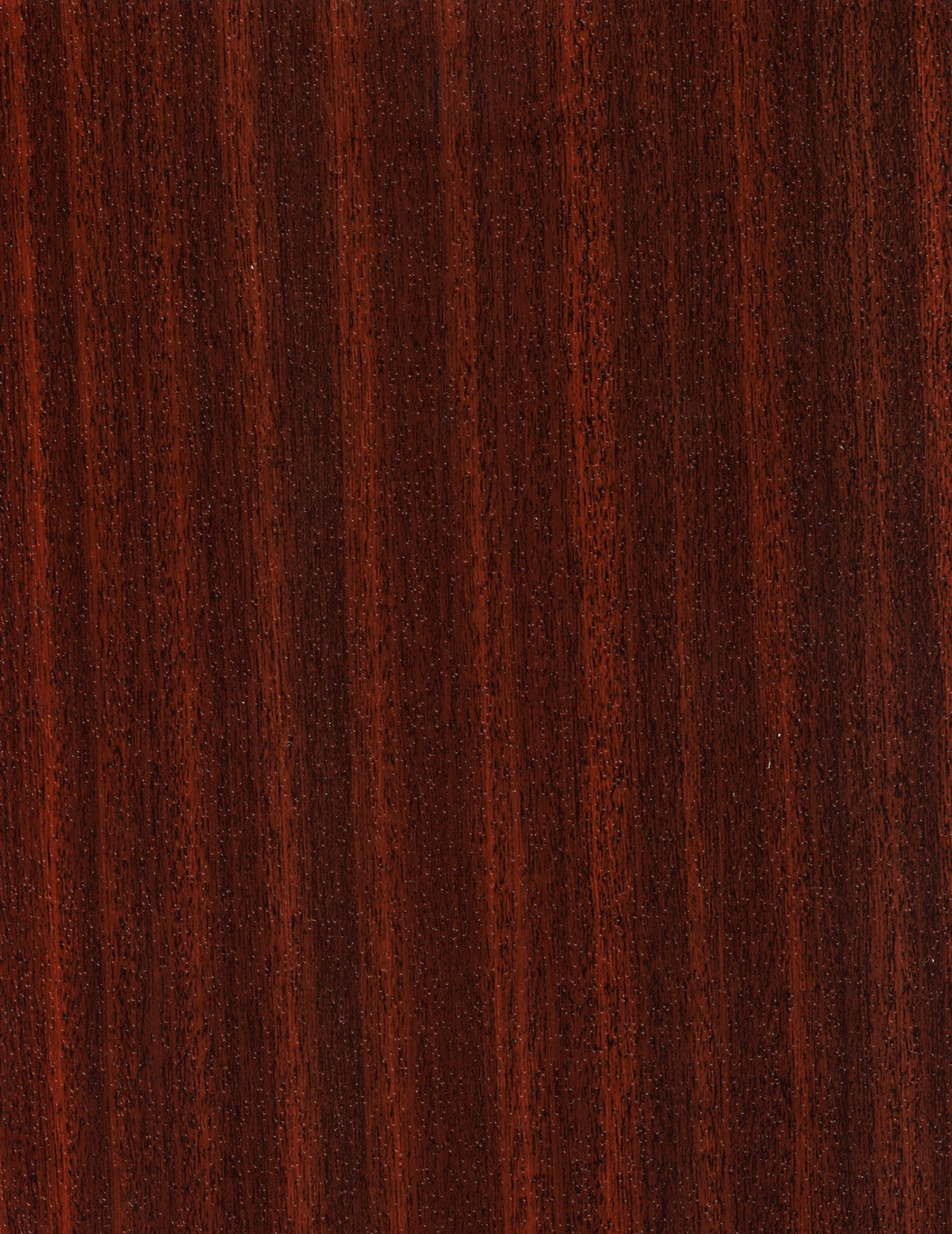 Mahogany z
