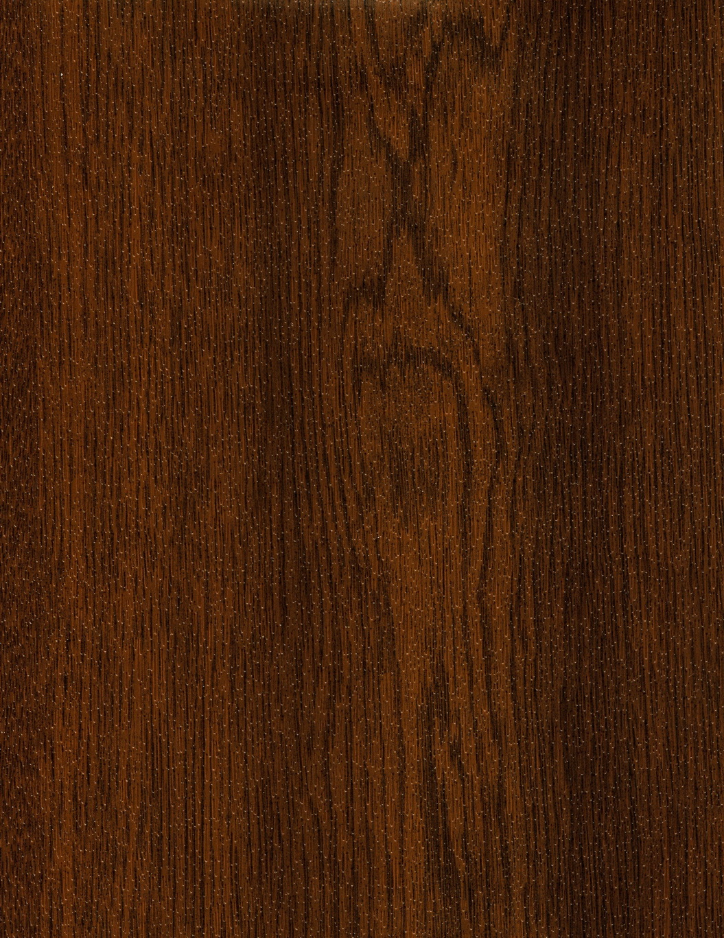 NUSSBAUM (1)