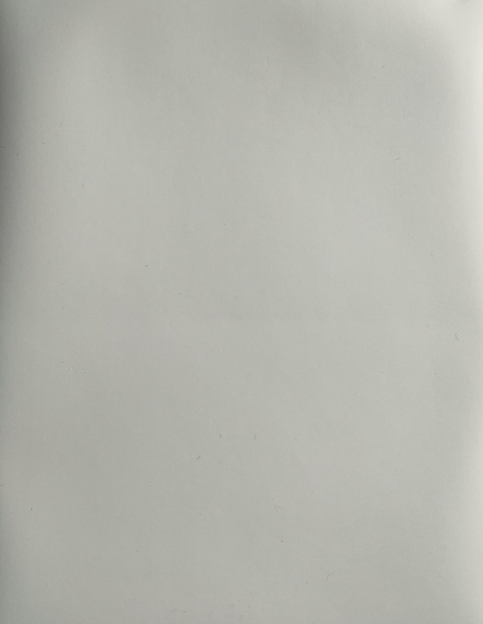 Белая гладкая 4101