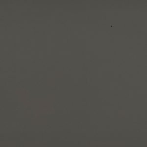 Силк шитаки 51938