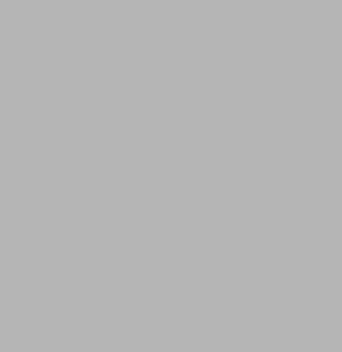 485 1 эко ферро