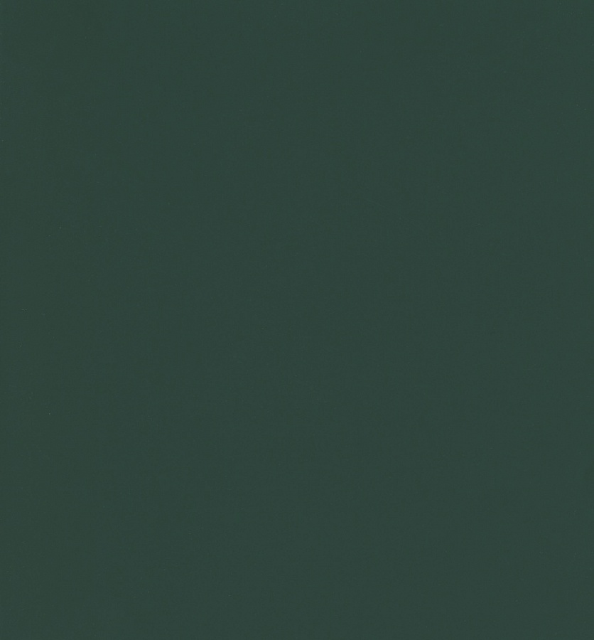 7161 04 пихтовый глянец