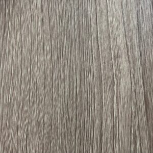 Ильм американский